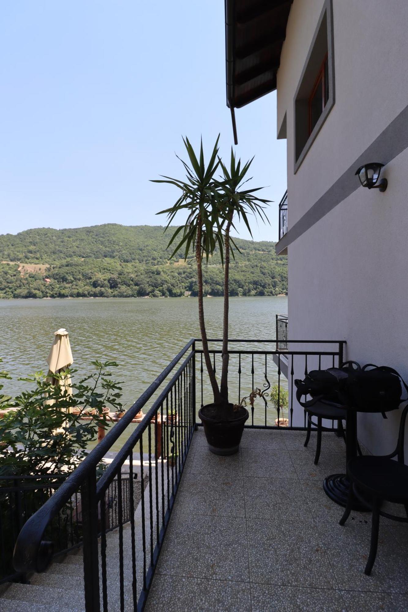 Dunavska Vila Milosavljevic Donji Milanovac Exterior foto